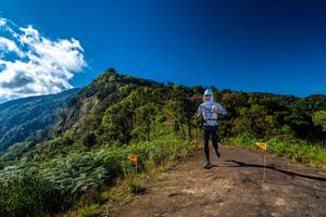 BIB: 
                            <button type="button" onclick="openModal(19033180)" class="btn btn-primary btn-sm float-right btn-popup" data-toggle="modal" data-target=".modal-high-quality">
                        <i class="fas fa-shopping-cart"></i> Add to Cart
                    </button>
                                            <button type="button" onclick="isThisMe(19033180, true)" class="btn btn-success btn-sm float-right btn-popup btn-isme hidden" data-toggle="tooltip" data-placement="bottom" title="นี่คือรูปของคุณใช่ไหม คลิกที่นี่เพื่อเอาเข้าอัลบั้ม">
                        <i class="fas fa-plus"></i> Add to album
                    </button>
                    <button type="button" onclick="isThisMe(19033180, false)" class="btn btn-warning btn-sm float-right btn-popup btn-isnotme hidden">
                        <i class="fas fa-ban"></i> Remove from album
                    </button>